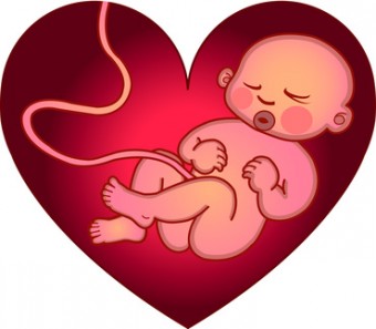 cuore nascita neonato cordone ombelicale