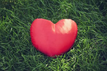 cuore