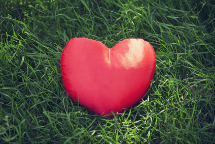 Zeno, un cuore nuovo a soli quattro mesi: storia a lieto fine al Sant'Orsola