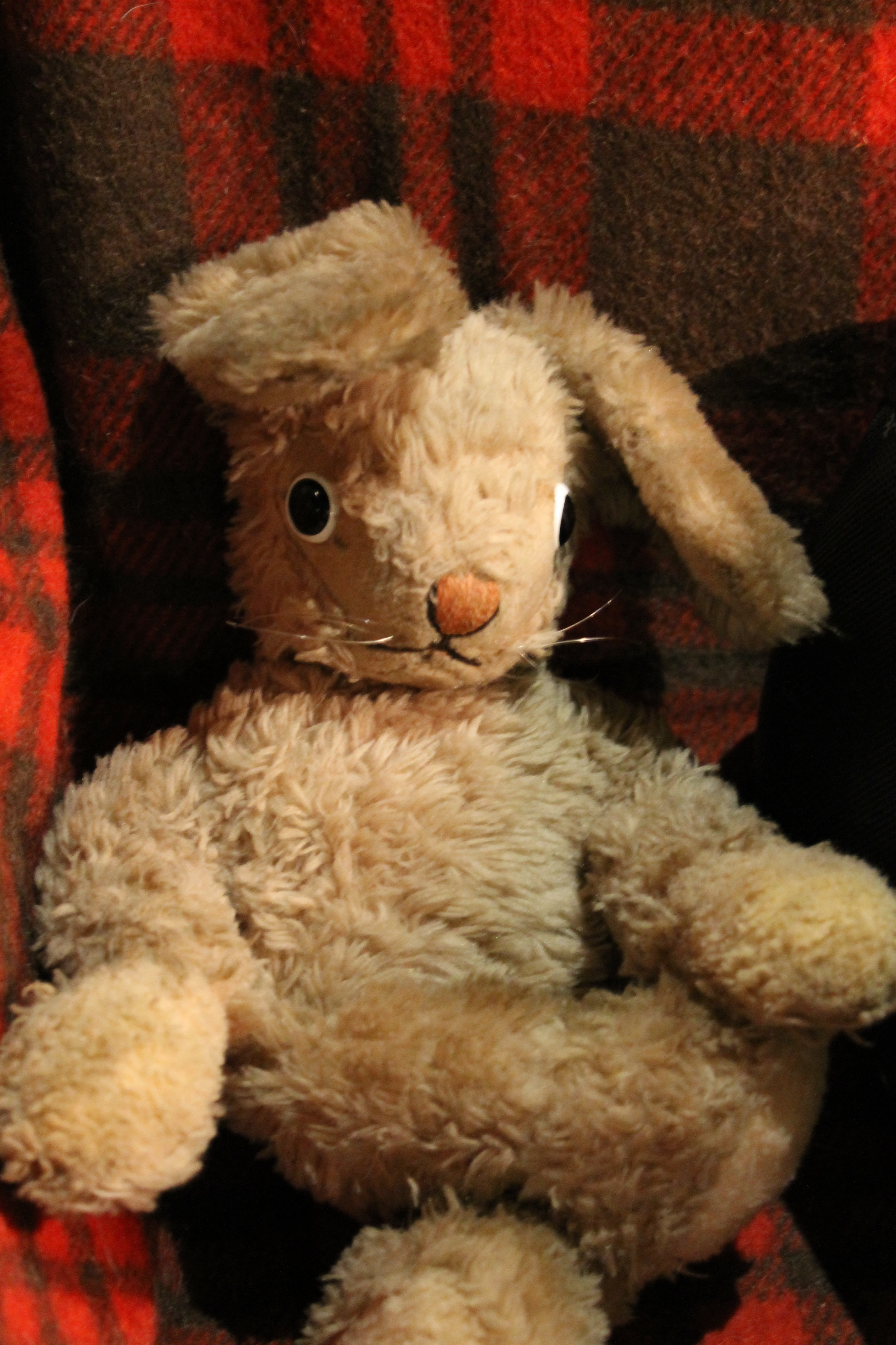 E questo week end vanno in scena: orsetti, marionette e creature in movimento