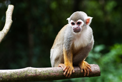 Dalle droghe al porno di Pippi calzelunghe: i miti dell'infanzia che cadono