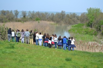 1G valli meridionali di comacchio salberto SISAMp