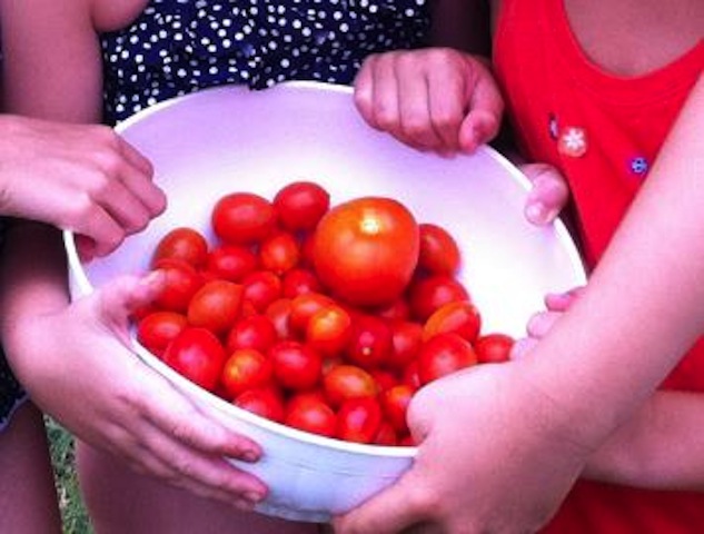 Bambini alla scoperta della civiltà agricola alla Casa delle Aie