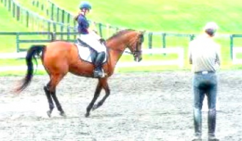 Schermata 2014-07-08 a 12.55.32 PM