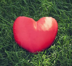 Una pallina per il cuore: un torneo di tennis per aiutare i bimbi cardiopatici