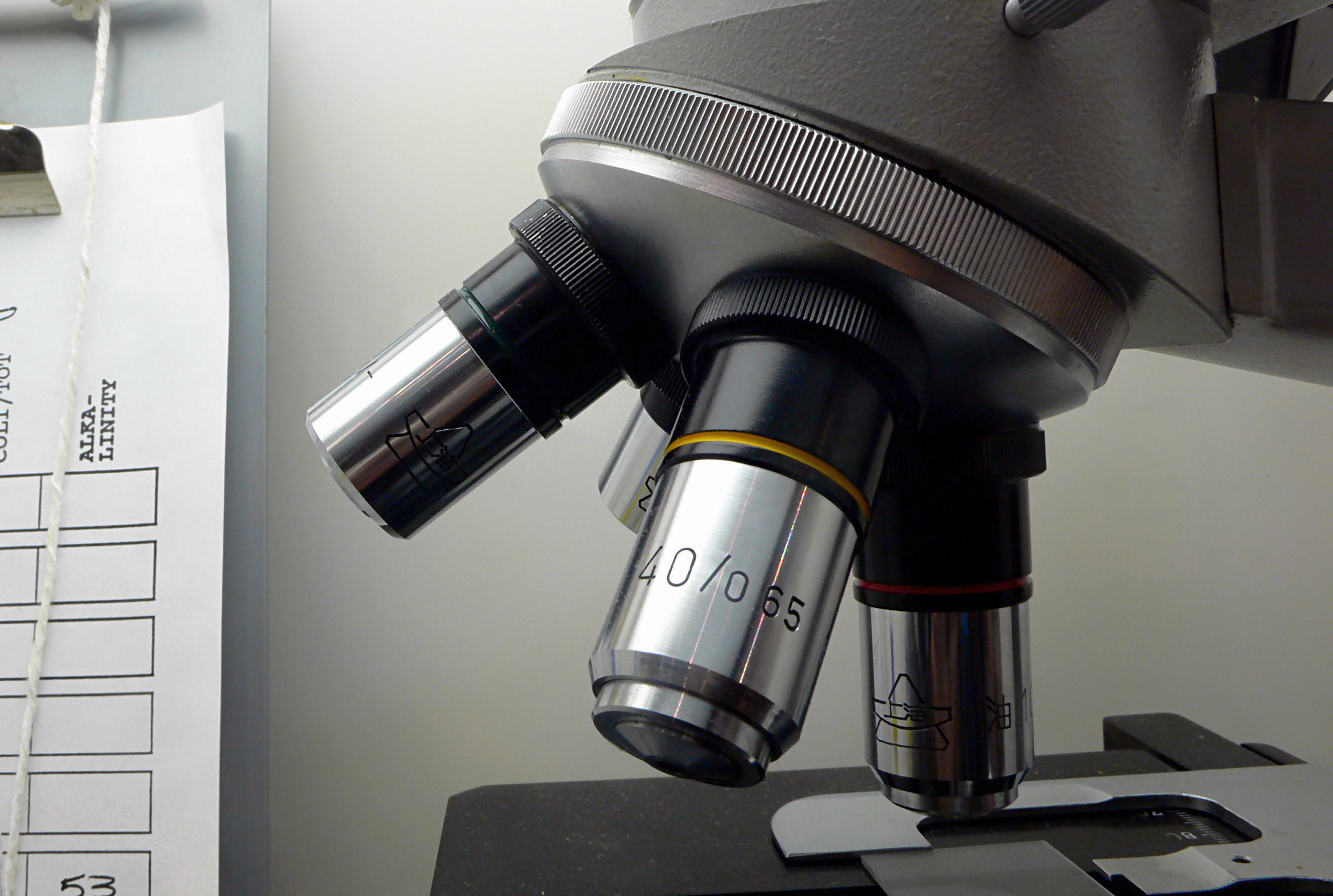 Smog, un progetto per capirne gli effetti su bambini e ragazzi