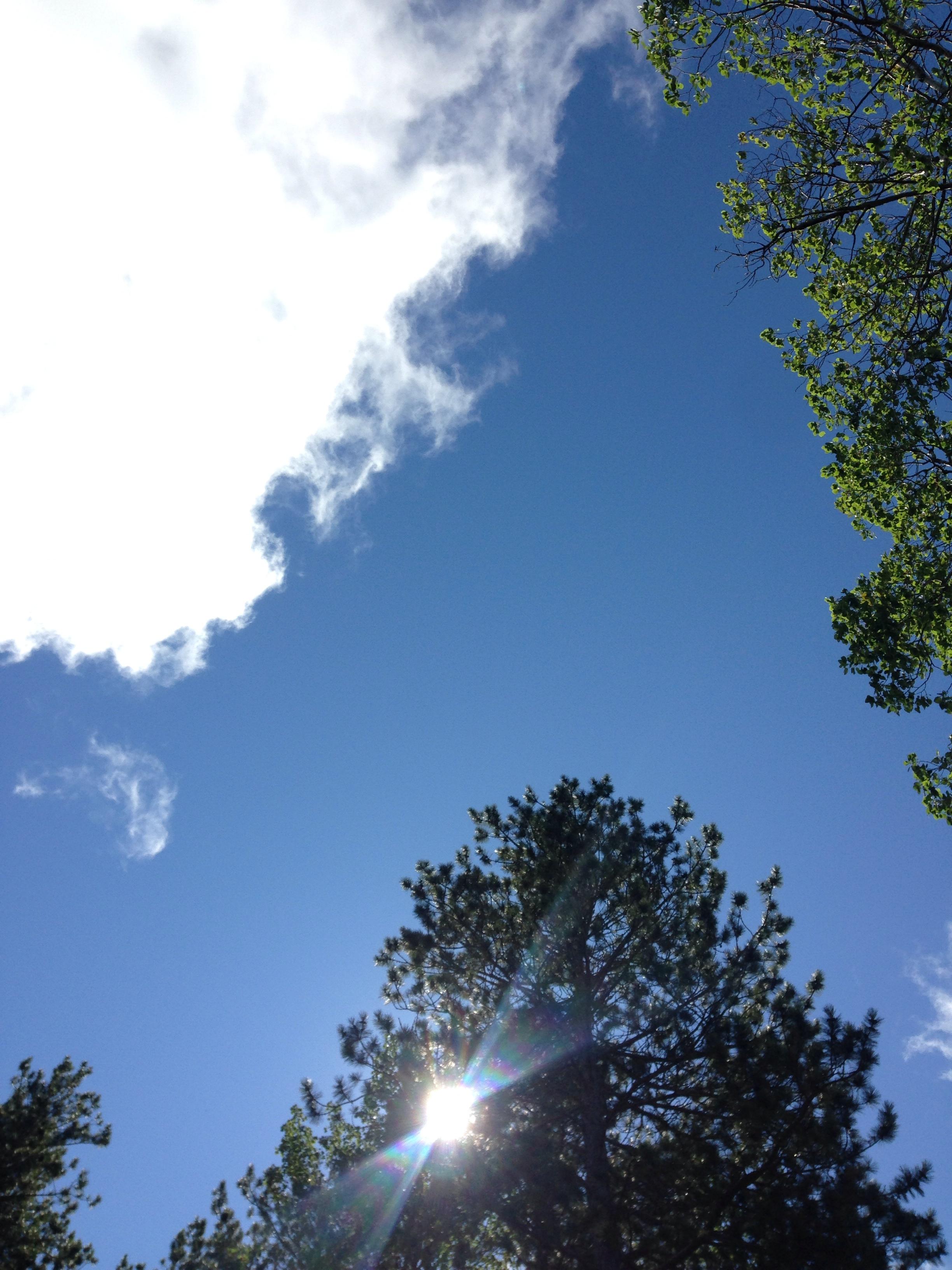 Tutelare salute e ambiente, a Ravenna le proposte arrivano dai ragazzi