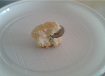 la foto della rondella pubblicata da Radio Città del Capo