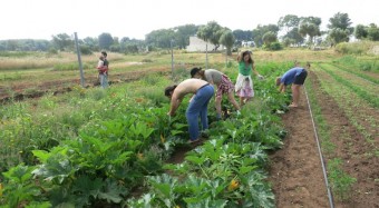 32dfd1e9-854e-404b-e098-128da63ae024