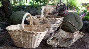 e42cfc22-bd4e-4c8b-a083-cea27ca4d269