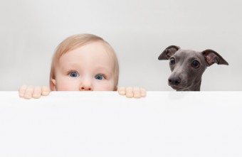 neonato, bambino, cane