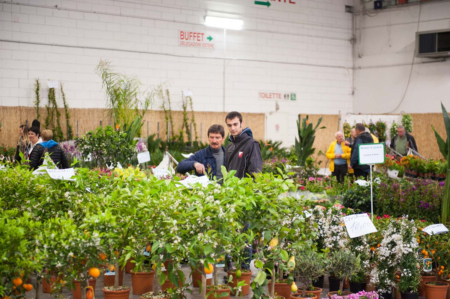 "Zappa che ti passa": a Cesena orti e giardini in fiera. E per i bambini un mare di attività
