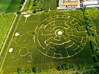 180480_200176139999289_2417473_n