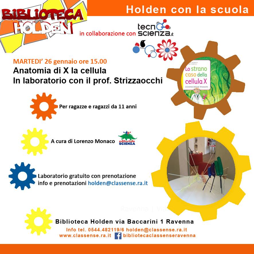 classense biblioteca holden