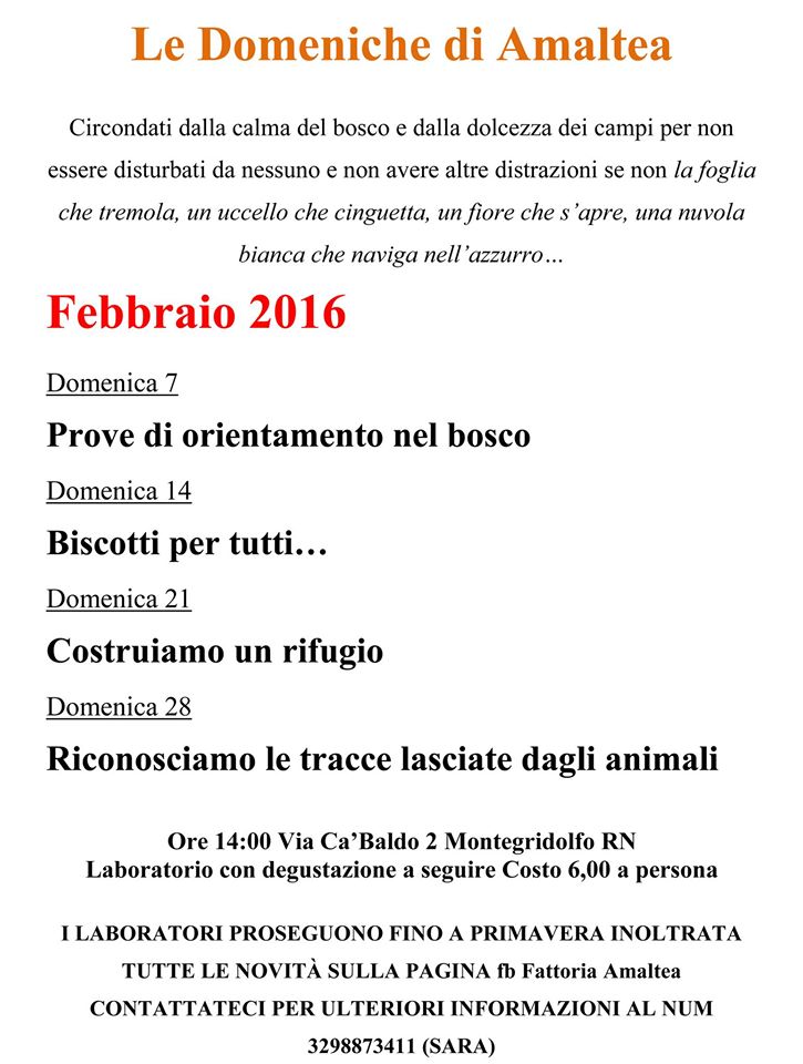 domeniche fattoria amaltea