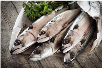 Rimini, pesce fresco nelle mense scolastiche