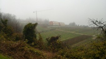 La lottizzazione in cui dovrebbe nascere la nuova scuola