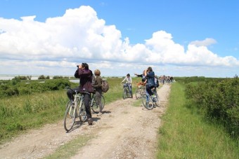 bicicletta museo natura