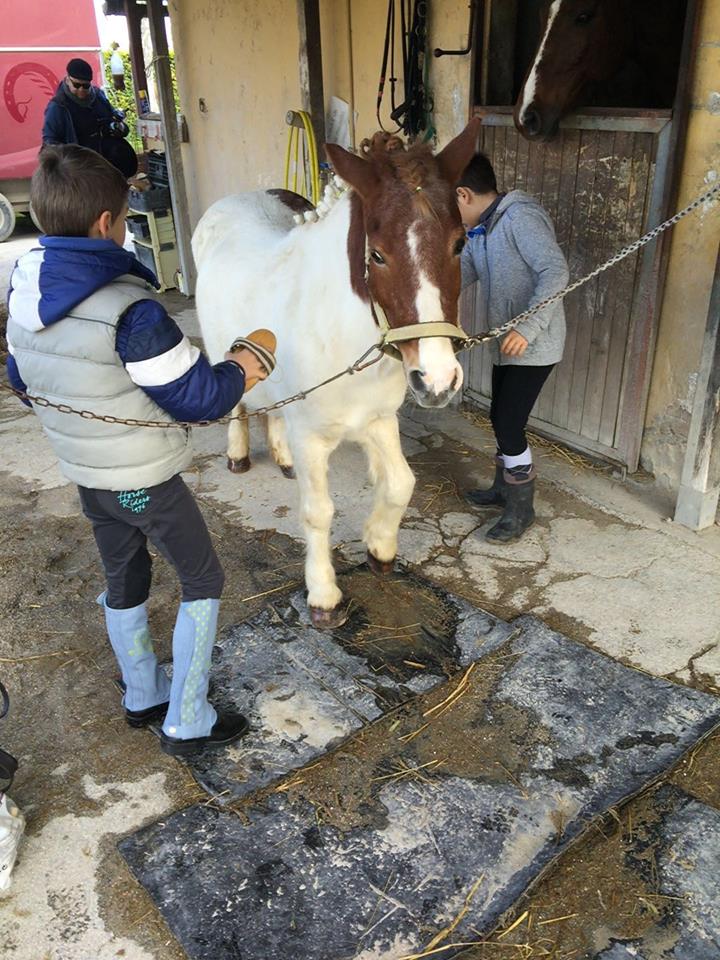 bimbi4