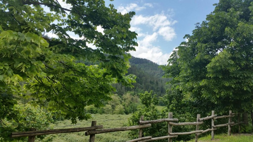 panorama tredozio soggiorni giraffa