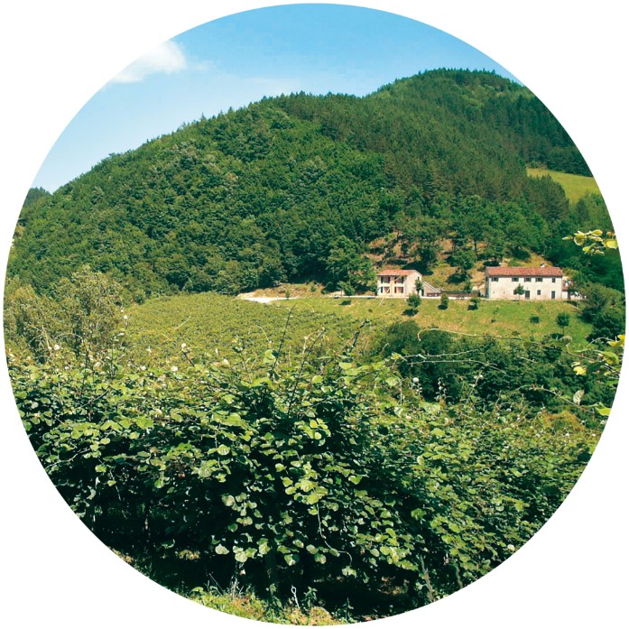 Soggiorni della Giraffa: nove motivi per scegliere gli English Summer Camp