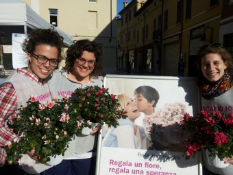 volontari Ior Ravenna