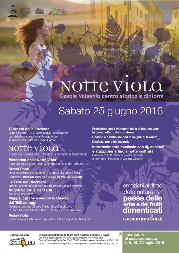 notte viola casola