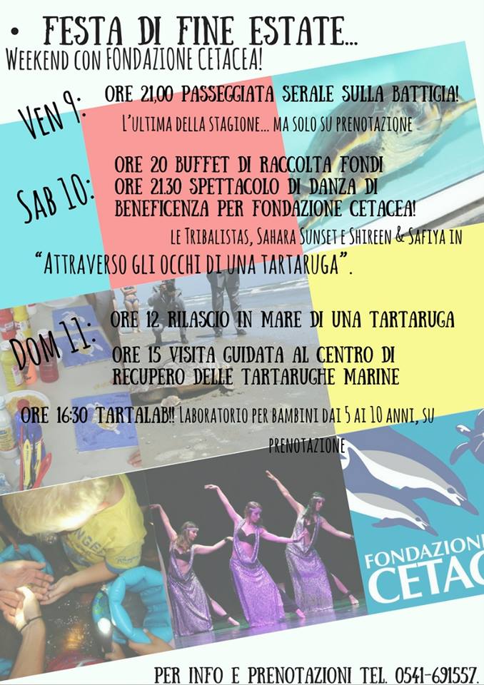 festa fine estate fondazione cetacea