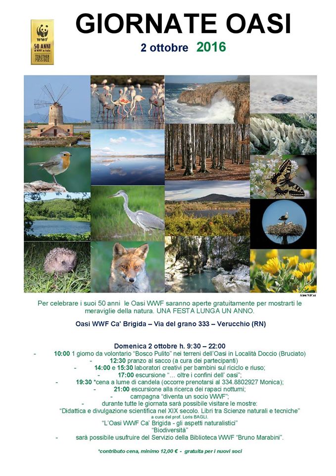 oasi ca brigida wwf