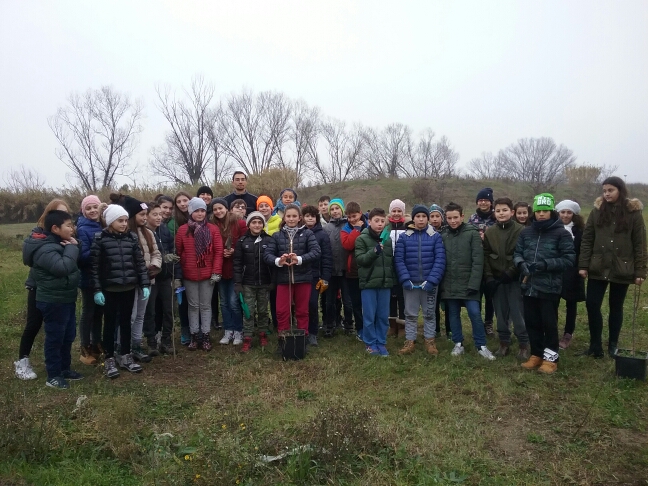 Rimini, bambini e ragazzi piantano 500 alberi