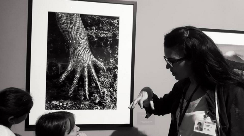 Il punguino, l'iceberg, la balena: la mostra di Salgado diventa un gioco di suoni