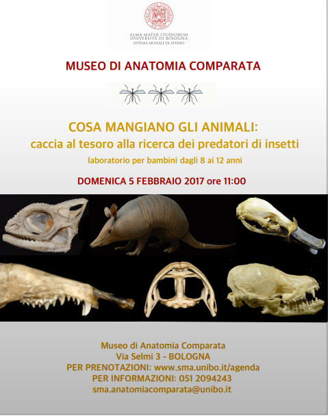 cosa mangiano animali