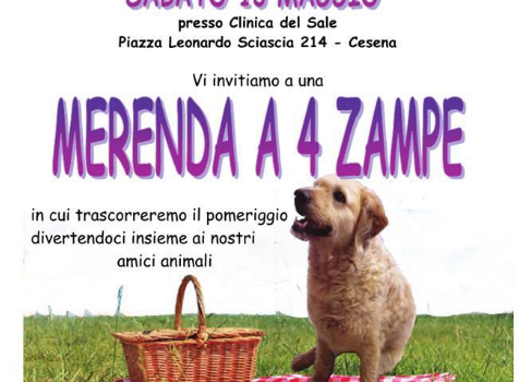 Merenda a 4 zampe alla Clinica del Sale di Cesena