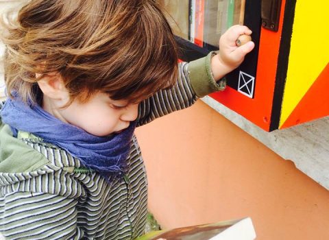 Little free library vandalizzata a Ravenna: perché?