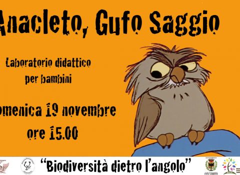 Anacleto gufo saggio: laboratorio sui rapaci notturni a Forlì