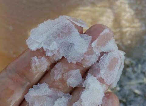 Jack Salino e la sua ciurma - visita alle saline di Cervia