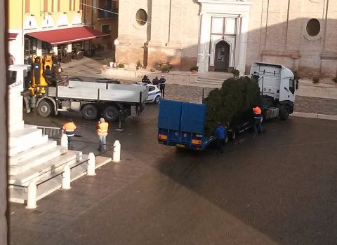 Savignano, i bambini in piazza a decorare l'albero di Natale