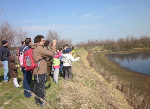 Ravenna, escursioni per bimbi in pineta e in Pialassa