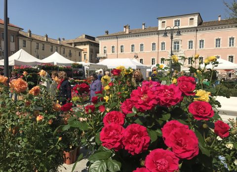 Sabato e domenica torna Ravenna in fiore