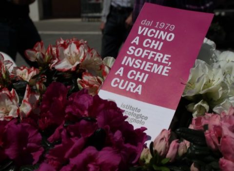 Festa della mamma: in 200 piazze le azalee dello Ior