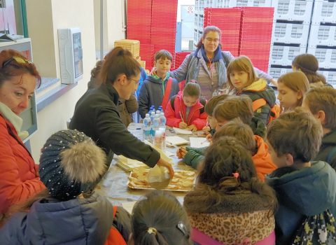 Toccare con mano l'olio: agri-laboratorio del mese al mercato coperto contadino