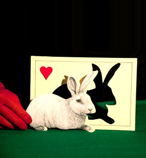 A teatro dai 18 mesi con Artebebè: non solo per diventare spettatori domani 