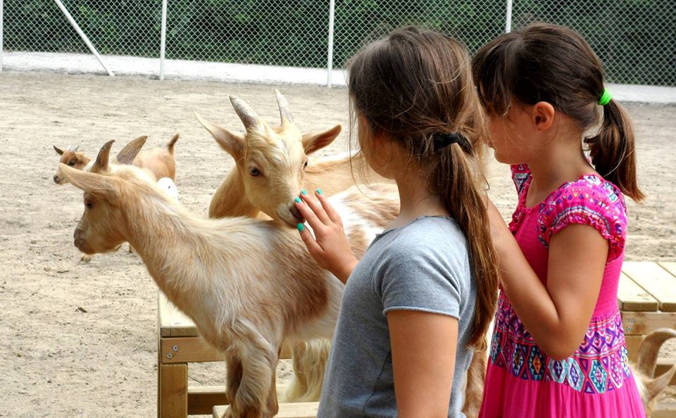 Riaprono il Parco naturale di Cervia e la Casa delle Farfalle