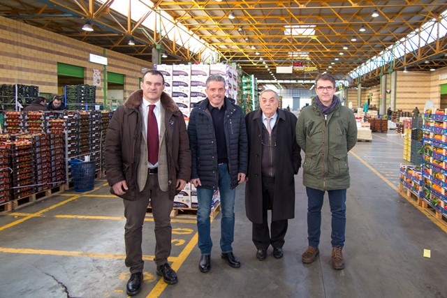 Il mercato ortofrutticolo entra a scuola per prevenire i tumori