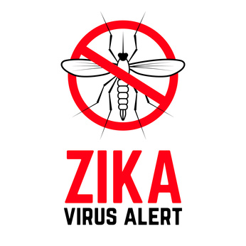 Zika virus: rischio “moderato" in Italia