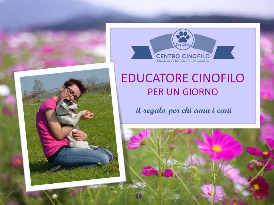 Dog Galaxy porta i cani a Happy Family: "Bimbi, venite a giocare"