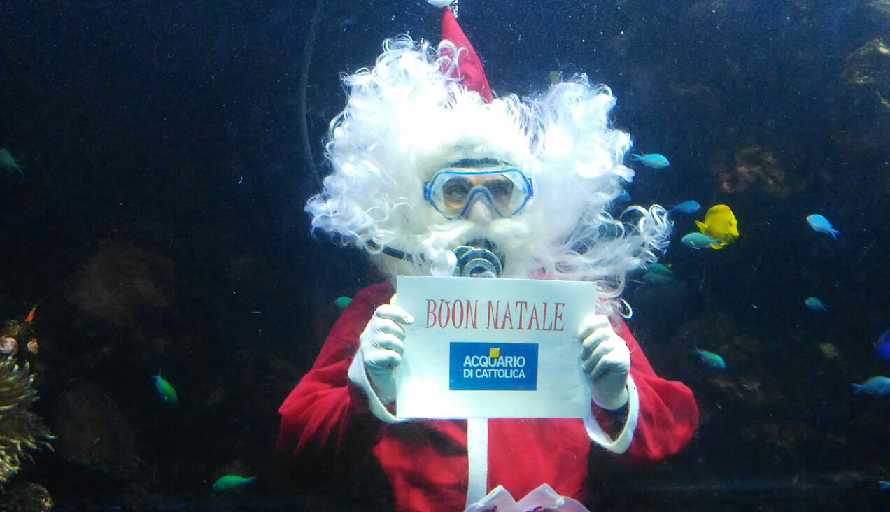 Acquario Cattolica e Oltremare: parchi aperti per Natale