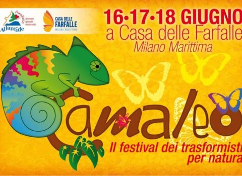 Camaleo: tre giorni di festival per bambini a Milano Marittima