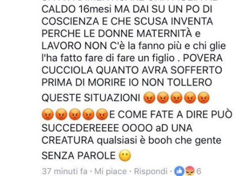 Bimba dimenticata in auto, l'indecenza di certi commenti