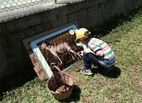 Cesenatico, sessanta bambini a tu per tu con i cani